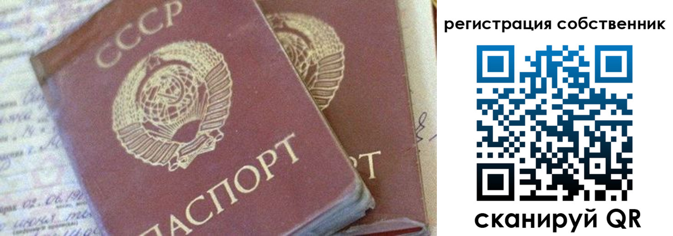 прописка штамп в Вольске